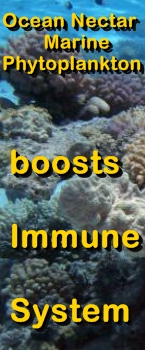 Ormus Minerals - Ocean Nectar Marine Phytoplankton boosts Immune System