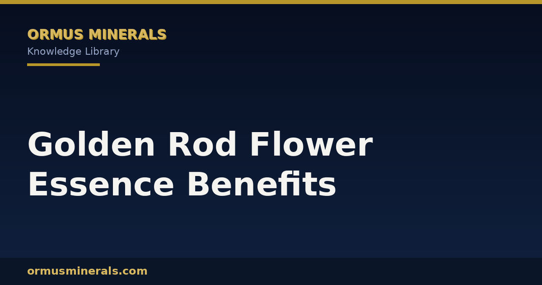 Golden Rod Flower Essence Benefits header graphic