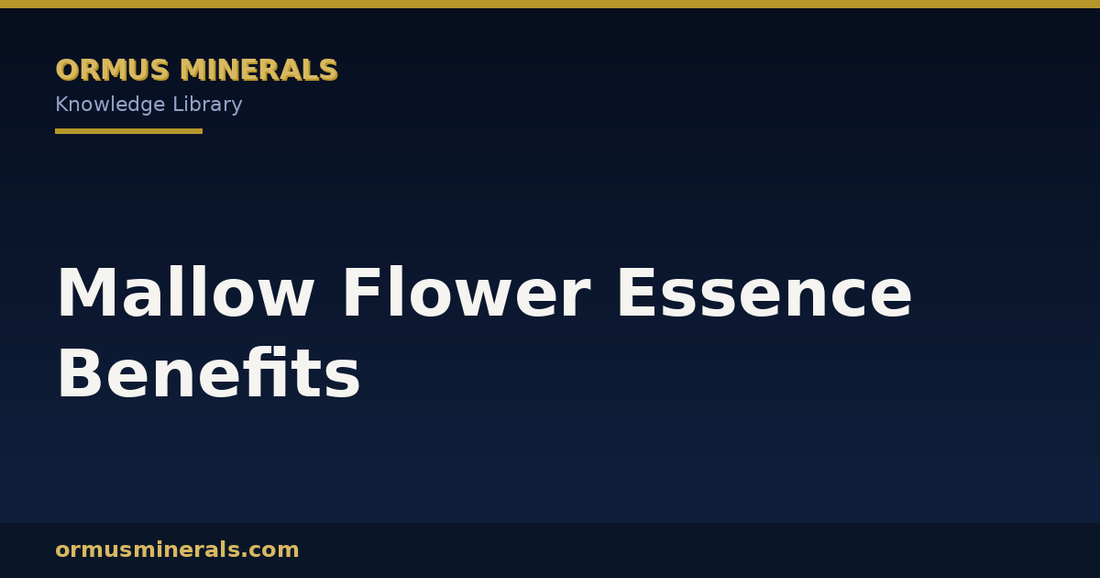 Mallow Flower Essence Benefits header graphic