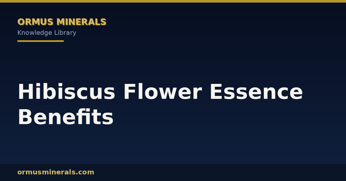 Hibiscus Flower Essence Benefits header graphic