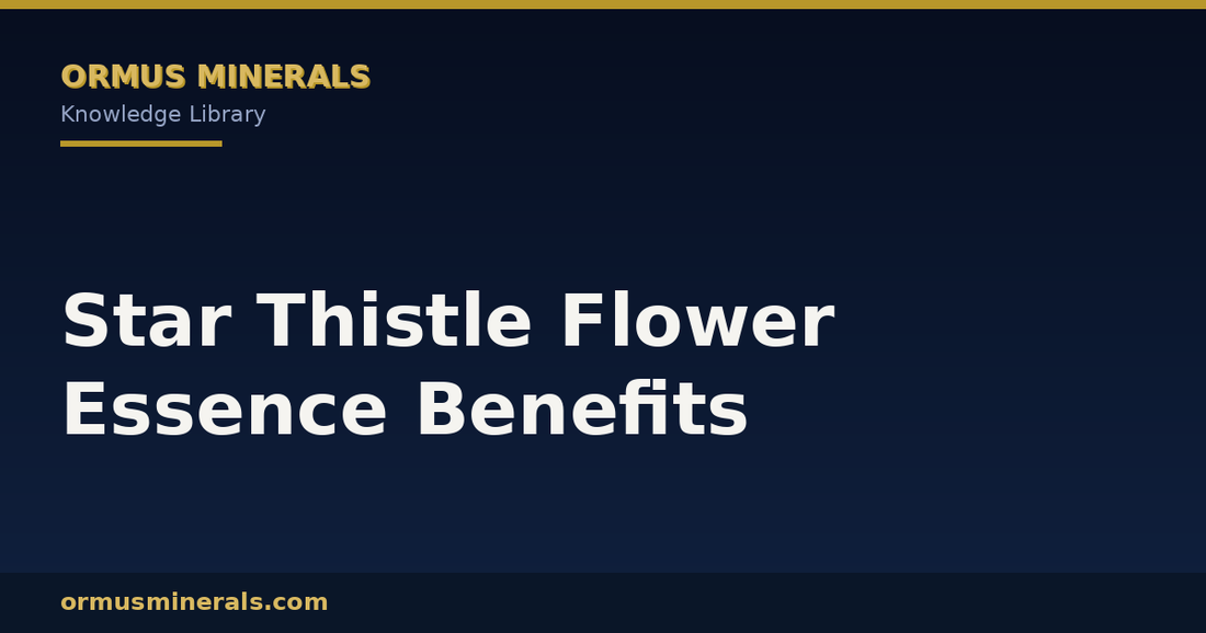 Star Thistle Flower Essence Benefits header graphic