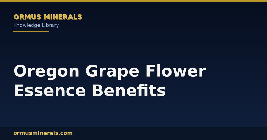 Oregon Grape Flower Essence Benefits header graphic