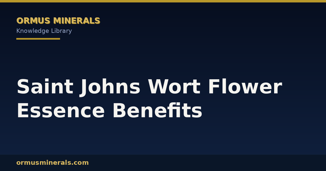 Saint Johns Wort Flower Essence Benefits header graphic