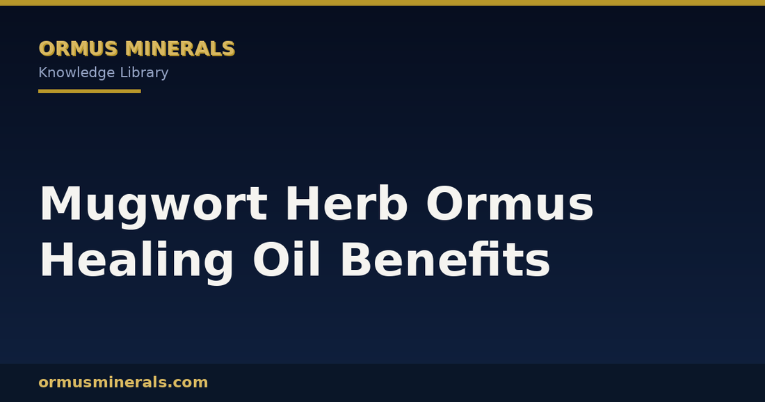 Mugwort Herb Ormus Healing Oil Benefits header graphic