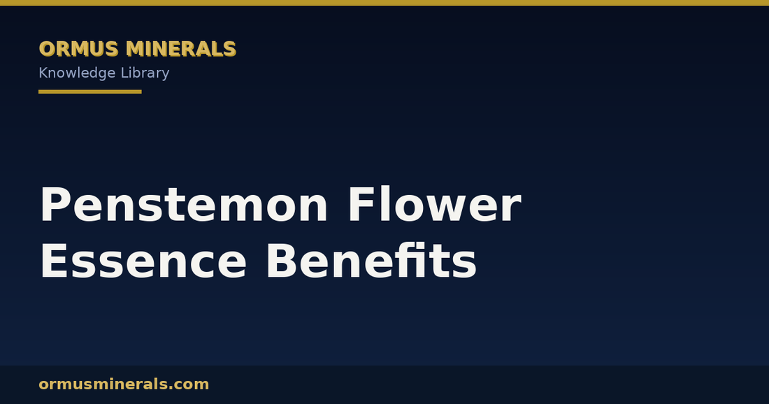 Penstemon Flower Essence Benefits header graphic