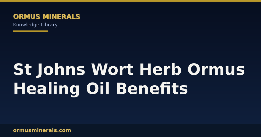 St Johns Wort Herb Ormus Healing Oil Benefits header graphic