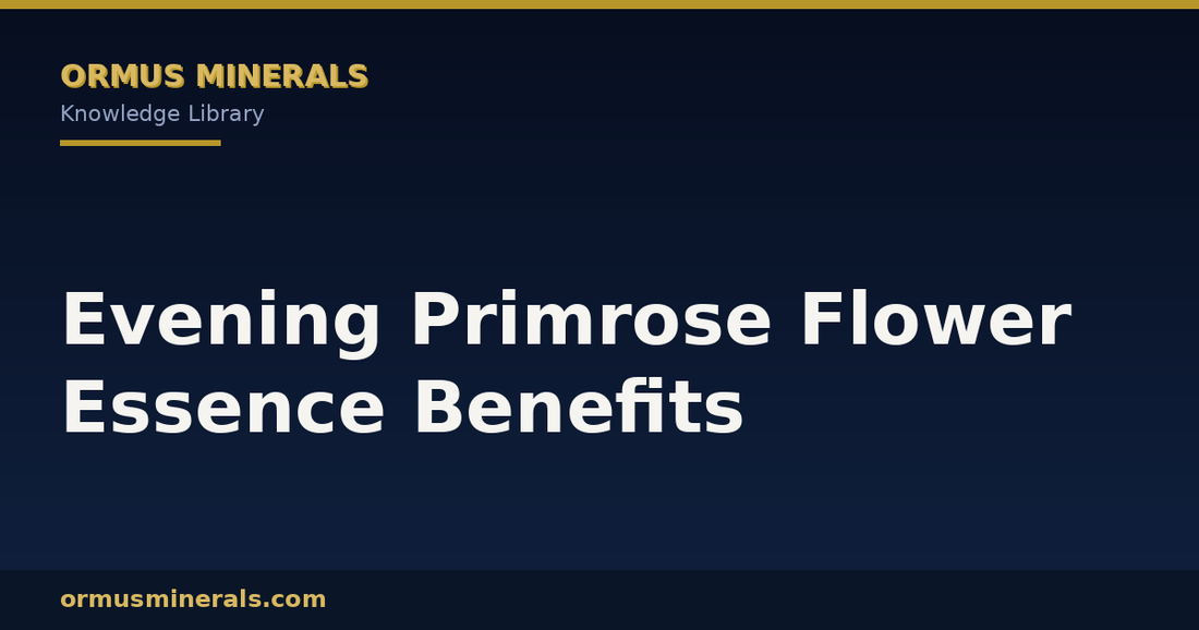 Evening Primrose Flower Essence Benefits header graphic
