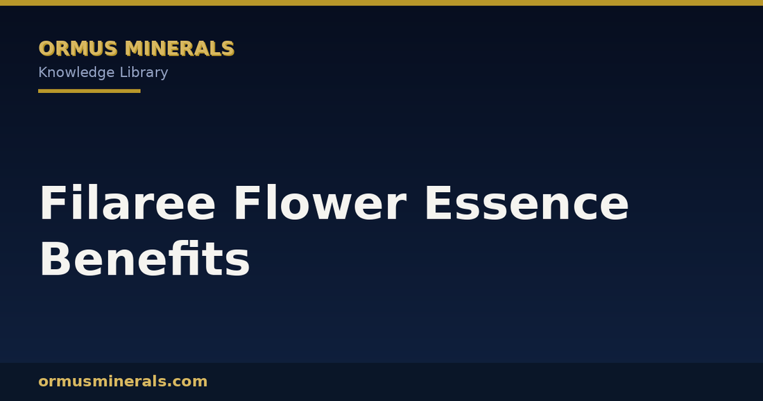 Filaree Flower Essence Benefits header graphic