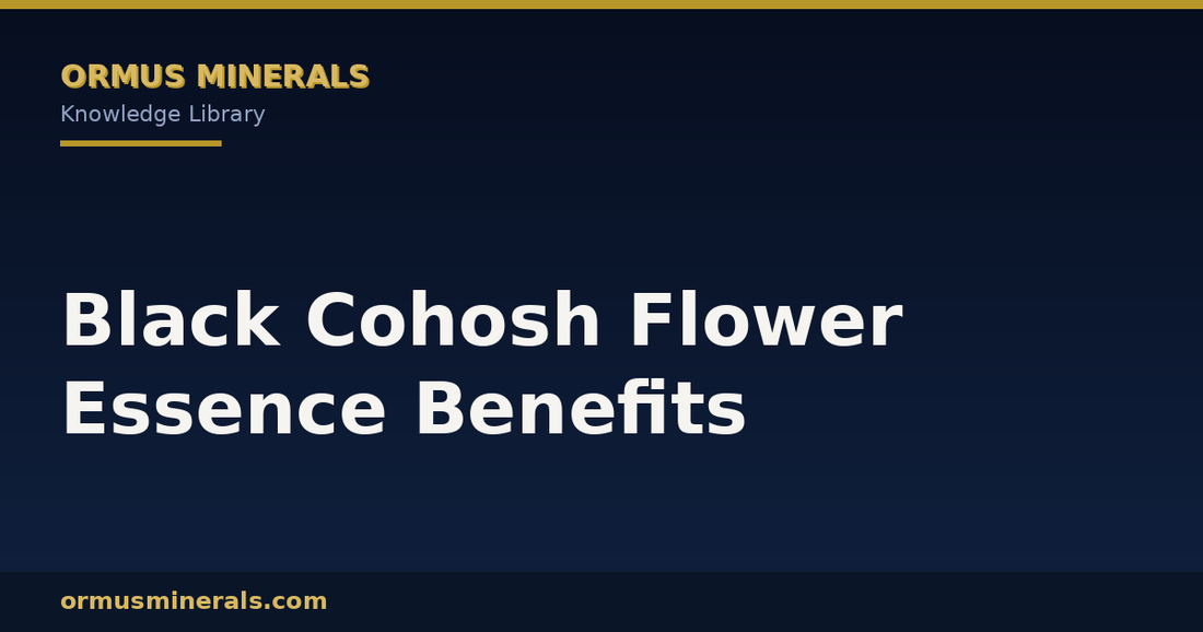 Black Cohosh Flower Essence Benefits header graphic
