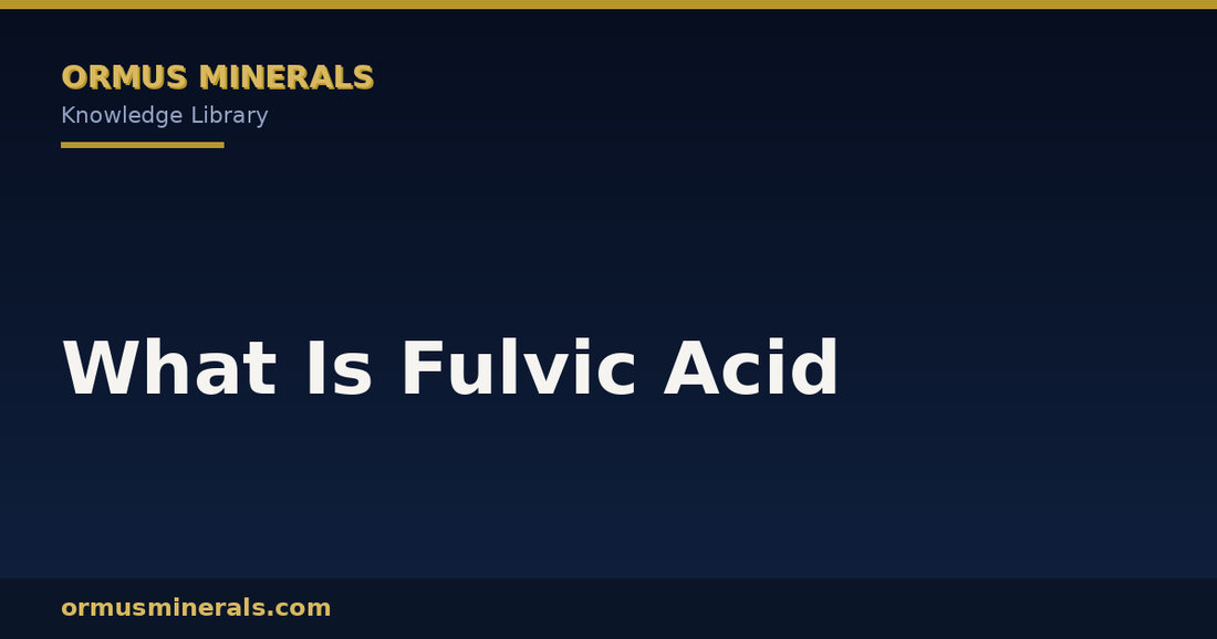What Is Fulvic Acid header graphic