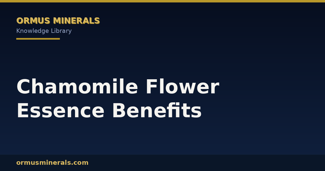 Chamomile Flower Essence Benefits header graphic