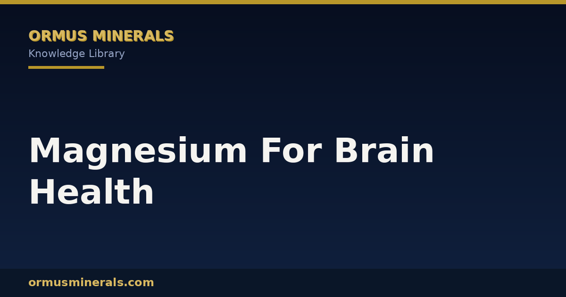 Magnesium For Brain Health header graphic