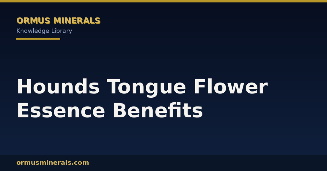 Hounds Tongue Flower Essence Benefits header graphic