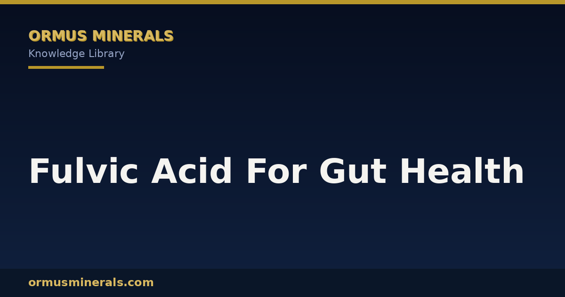 Fulvic Acid For Gut Health header graphic