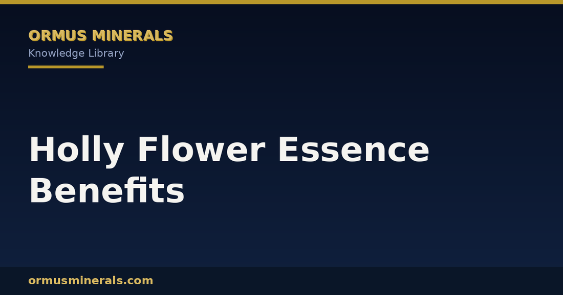 Holly Flower Essence Benefits header graphic