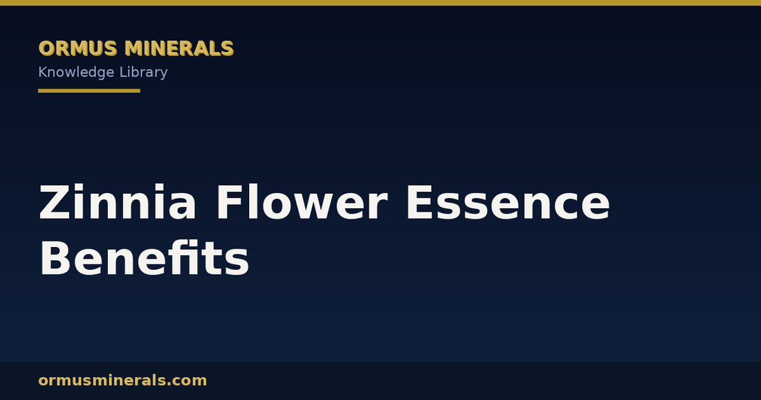 Zinnia Flower Essence Benefits header graphic