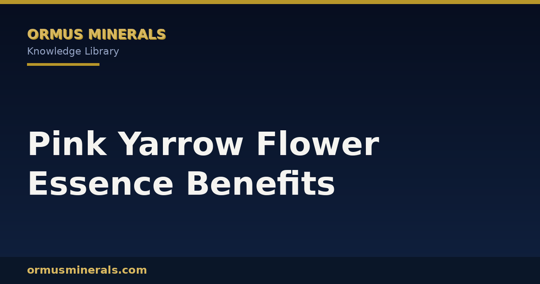 Pink Yarrow Flower Essence Benefits header graphic