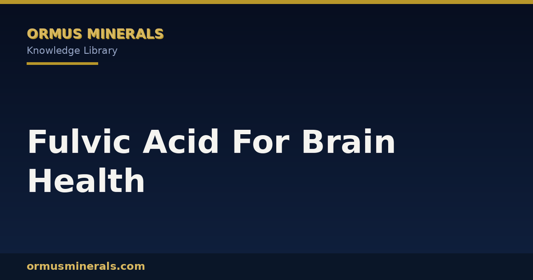 Fulvic Acid For Brain Health header graphic