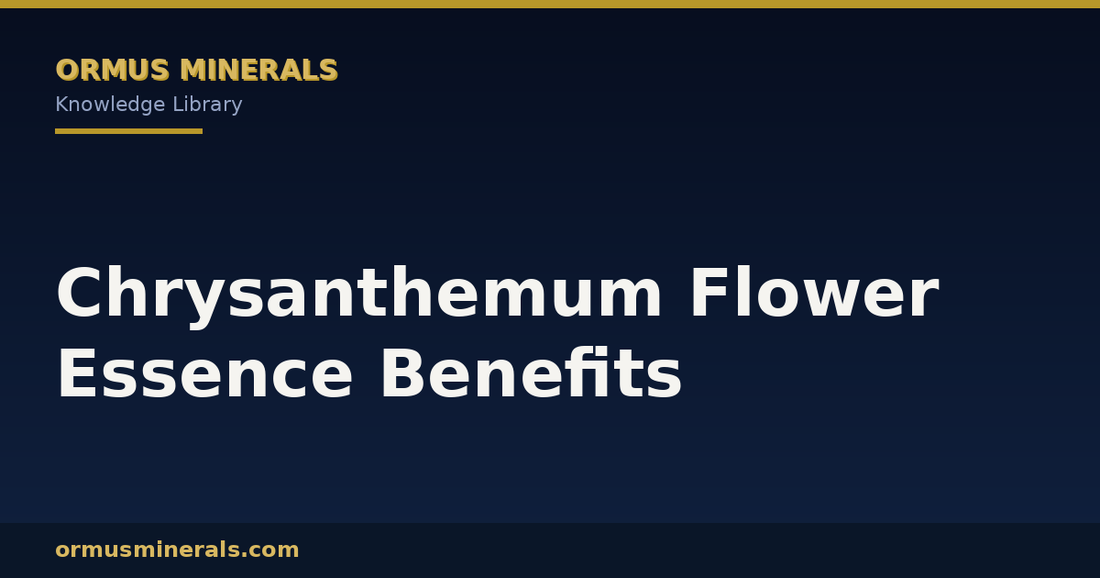 Chrysanthemum Flower Essence Benefits header graphic