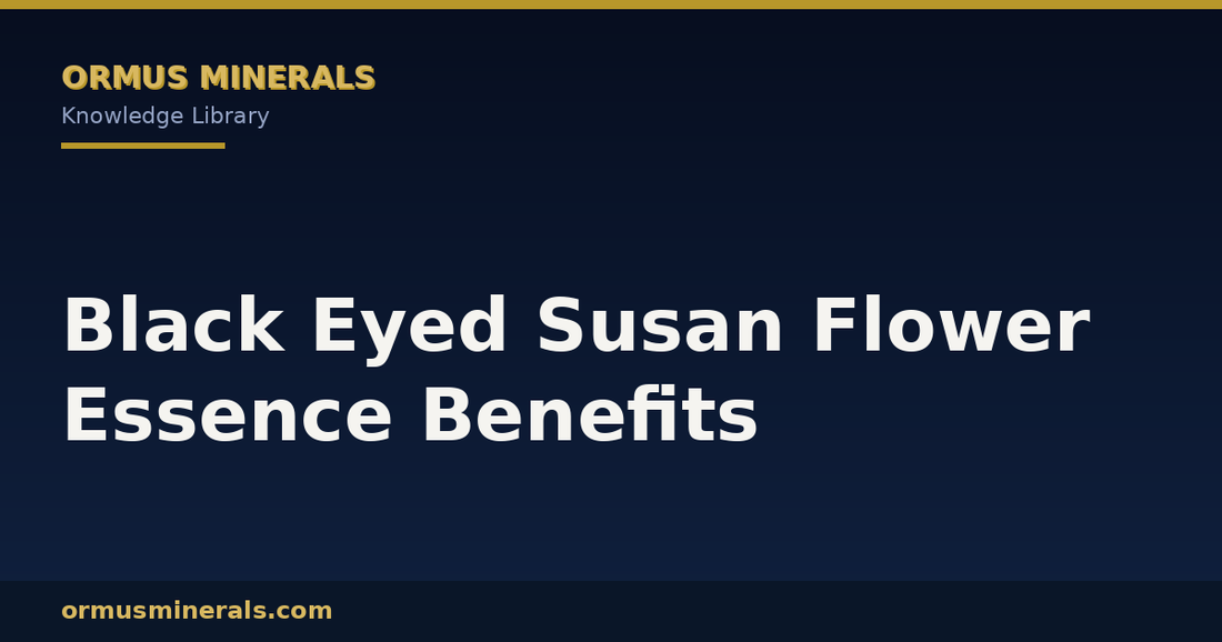 Black Eyed Susan Flower Essence Benefits header graphic