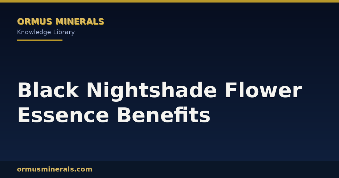 Black Nightshade Flower Essence Benefits header graphic