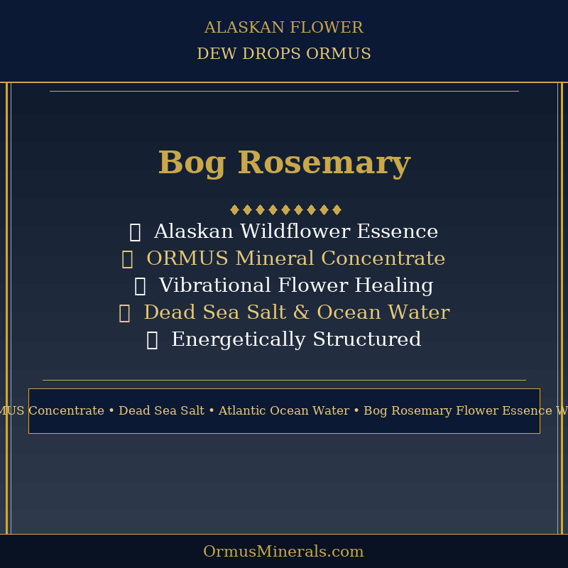Ormus Minerals Alaskan Flower BOG ROSEMARY Dew Drops 4oz Extra Strength 3x