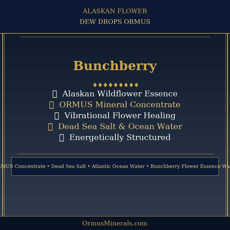 Ormus Minerals Alaskan Flower BUNCHBERRY Dew Drops 8oz Extra Strength 1x