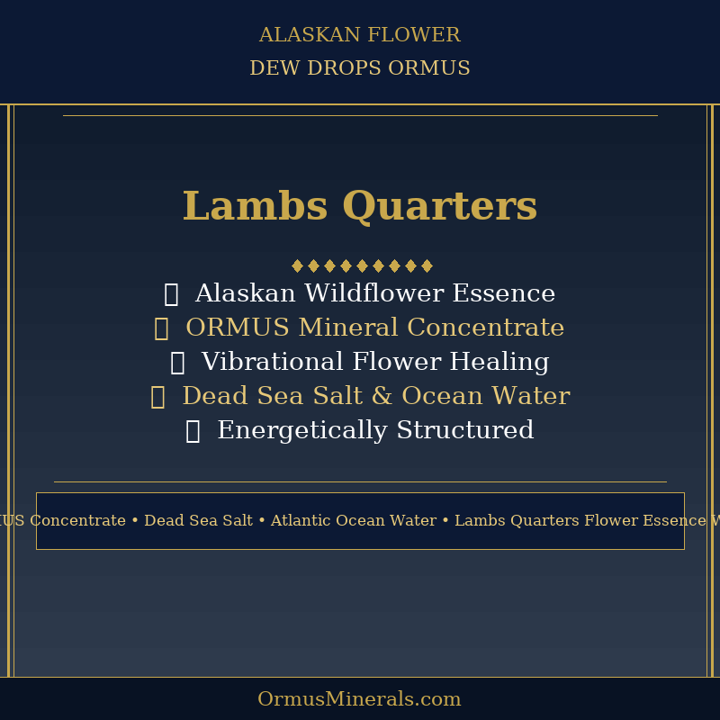 Ormus Minerals Alaskan Flower LAMB'S QUARTERS Dew Drops 4oz Extra Strength 5x