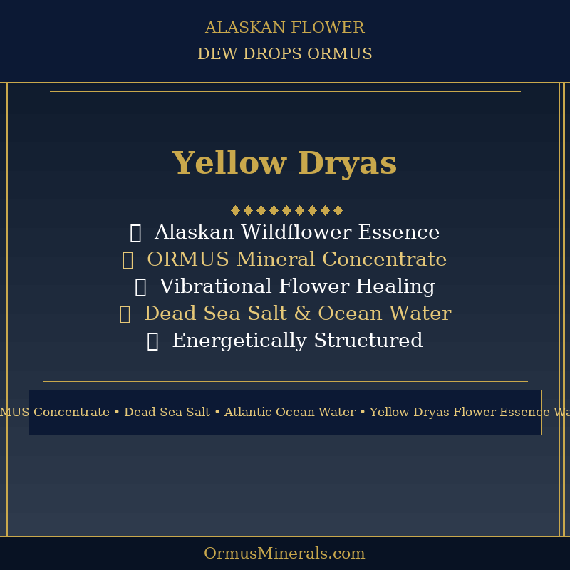 Ormus Minerals Alaskan Flower YELLOW DRYAS Dew Drops 8oz Extra Strength 4x