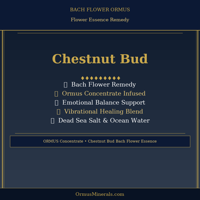 Bach Flower Chestnut Bud Dew Drops Ormus