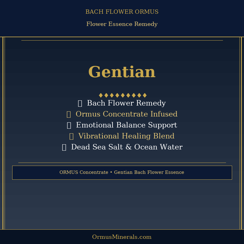 Bach Flower Gentian Ormus