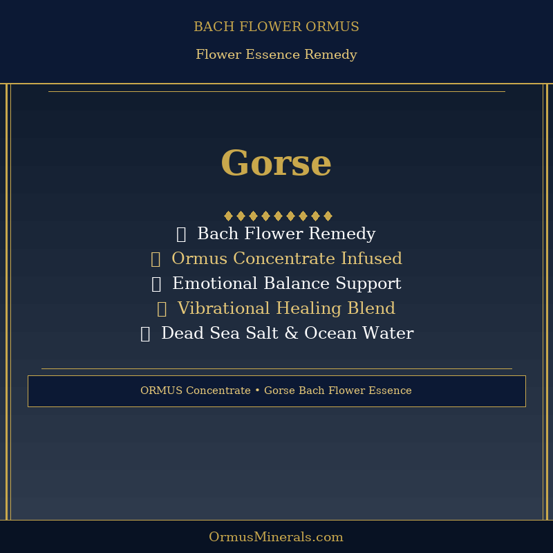 Bach Flower Gorse Ormus