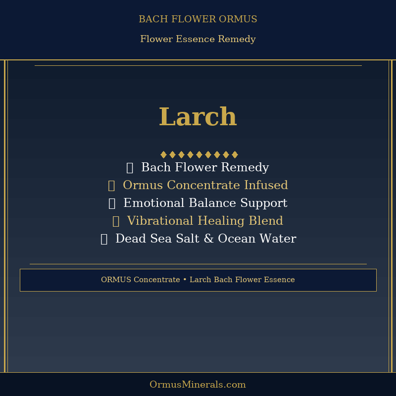 Bach Flower Larch Dew Drops Ormus
