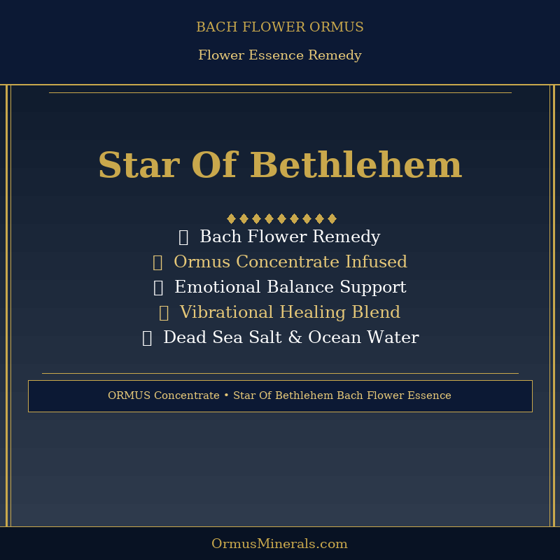 Bach Flower Star Of Bethlehem Ormus