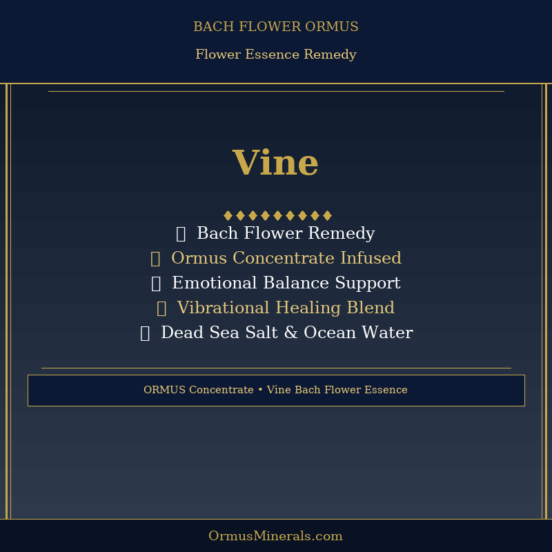 Bach Flower Vine Ormus