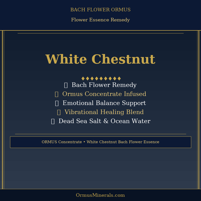Bach Flower White Chestnut Dew Drops Ormus