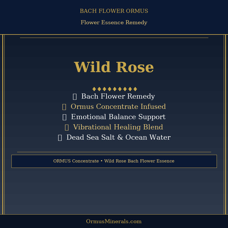 Bach Flower Wild Rose Dew Drops Ormus