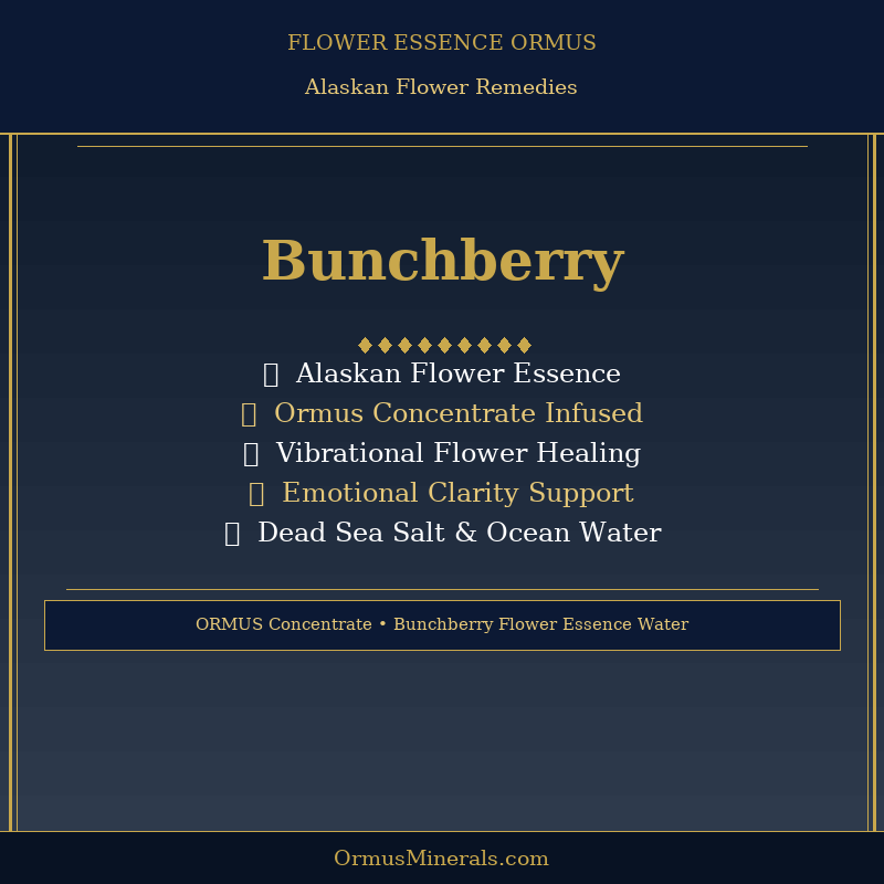 Ormus Minerals BUNCHBERRY Flower Essence Imprinted Ormus 16oz