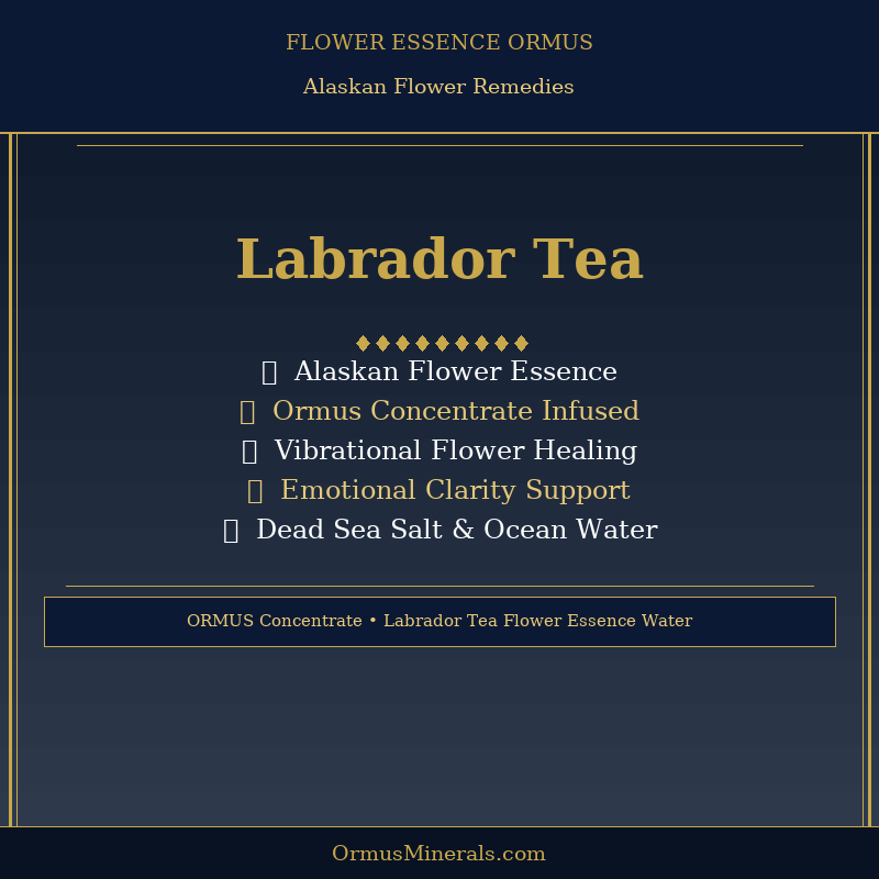 Ormus Minerals LABRADOR TEA Flower Essence Imprinted Ormus 16oz