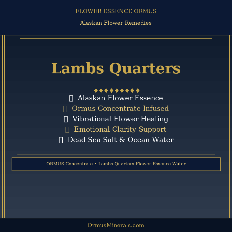 Ormus Minerals LAMB'S QUARTERS Flower Essence Imprinted Ormus 8oz