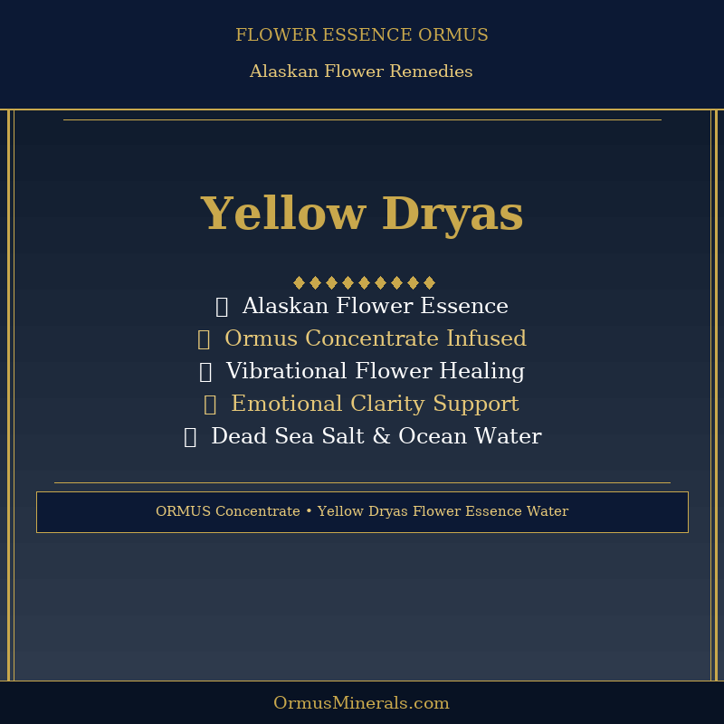 Ormus Minerals YELLOW DRYAS Flower Essence Imprinted Ormus 16oz