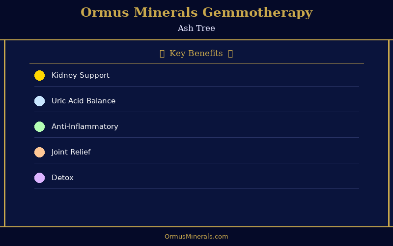 Ormus Minerals Ormus with Gemmotherapy ASH 16oz