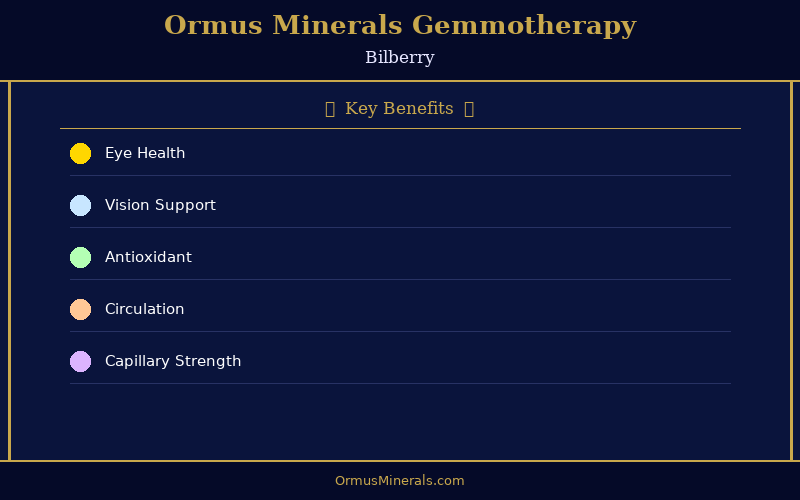 Ormus Minerals Ormus with Gemmotherapy BILBERRY 16oz