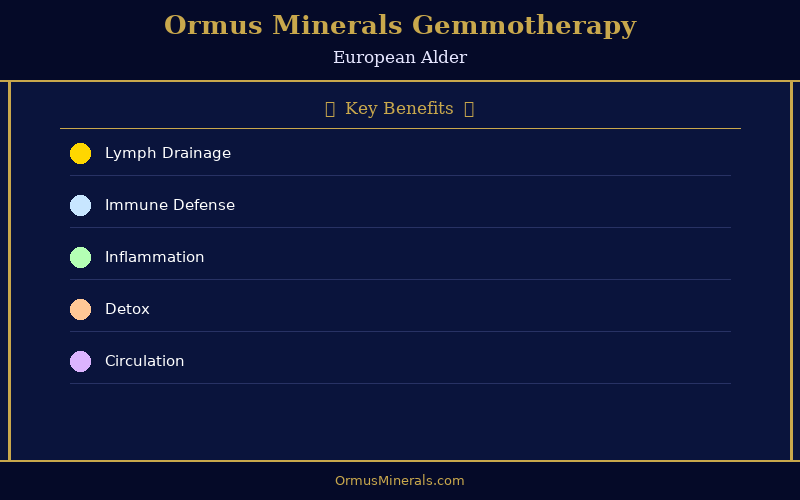 Ormus Minerals Ormus with Gemmotherapy EUROPEAN ALDER 16oz