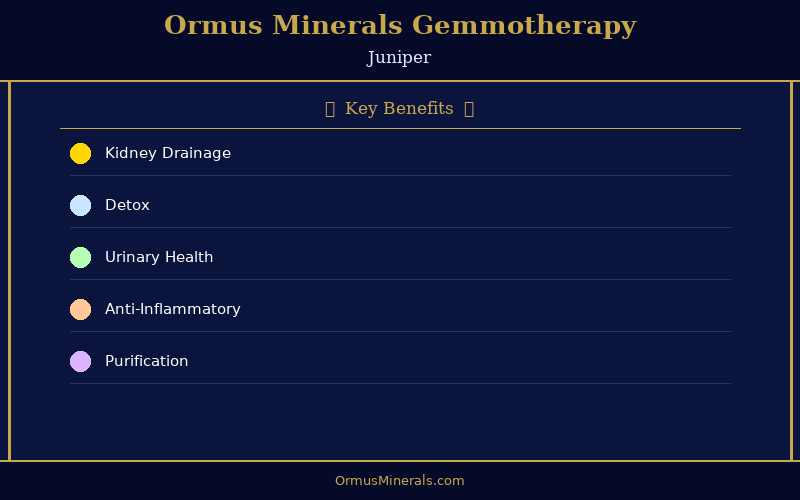 Ormus Minerals Ormus with Gemmotherapy JUNIPER 32oz