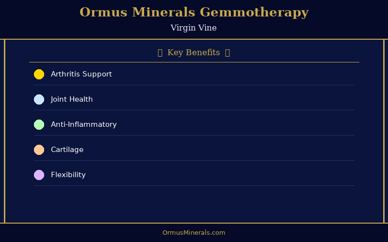 Ormus Minerals Ormus with Gemmotherapy VIRGIN VINE 32oz