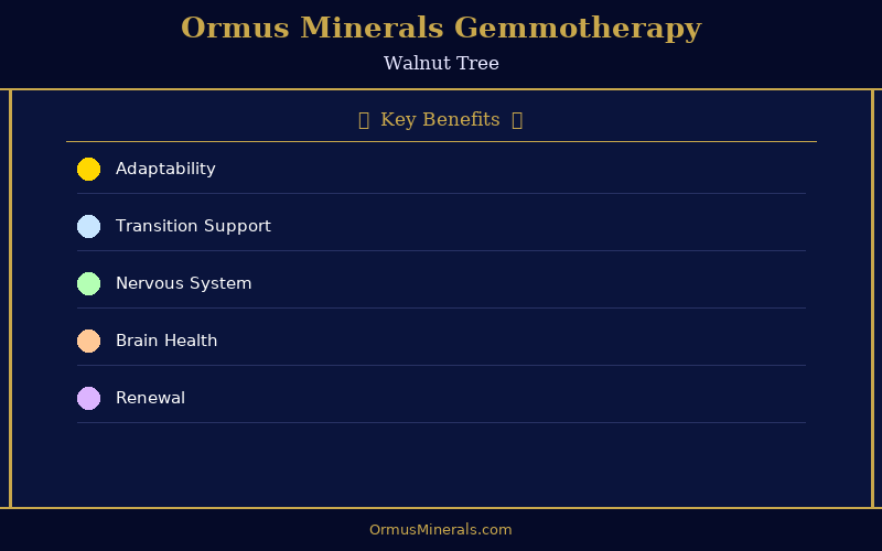 Ormus Minerals Ormus with Gemmotherapy WALNUT 16oz