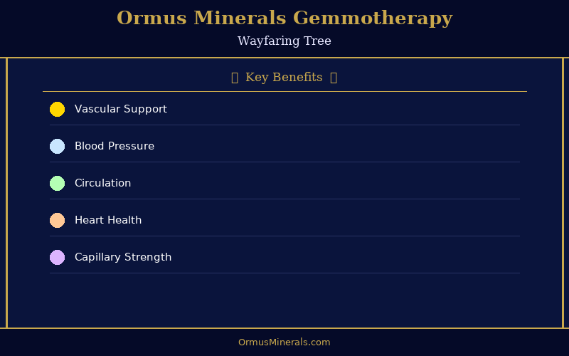 Ormus Minerals Ormus with Gemmotherapy WAYFARING TREE 8oz